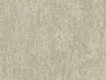 Edition - ED6057