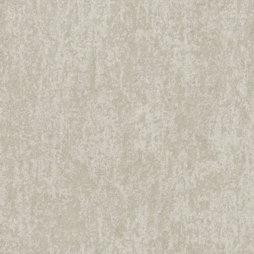 Edition - ED6058