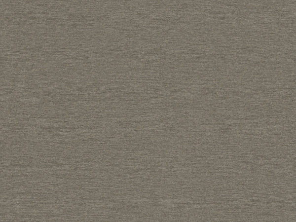 Edition - ED7001