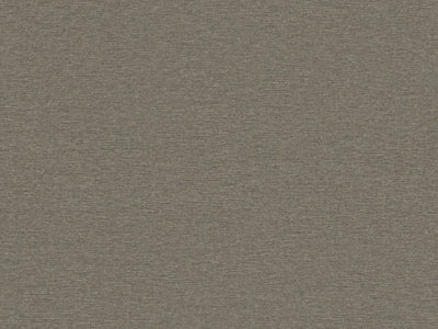 Edition - ED7001