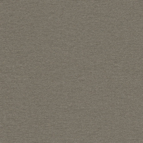 Edition - ED7001