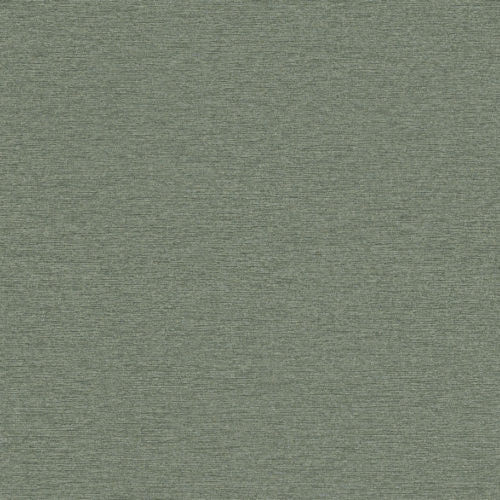 Edition - ED7002