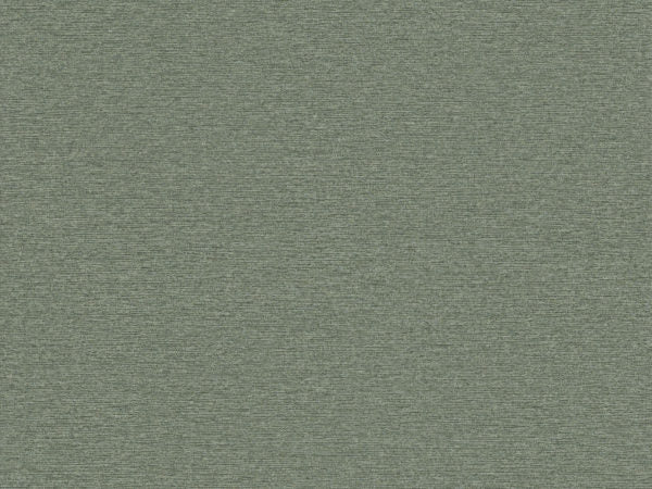 Edition - ED7002