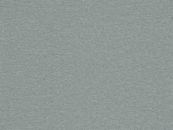 Edition - ED7004