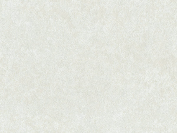 Edition - ED9004