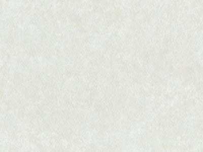 Edition - ED9004