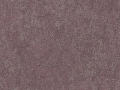 Edition - ED9013