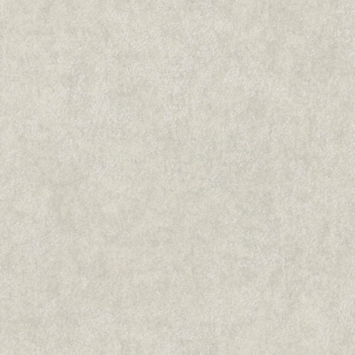 Edition - ED9015