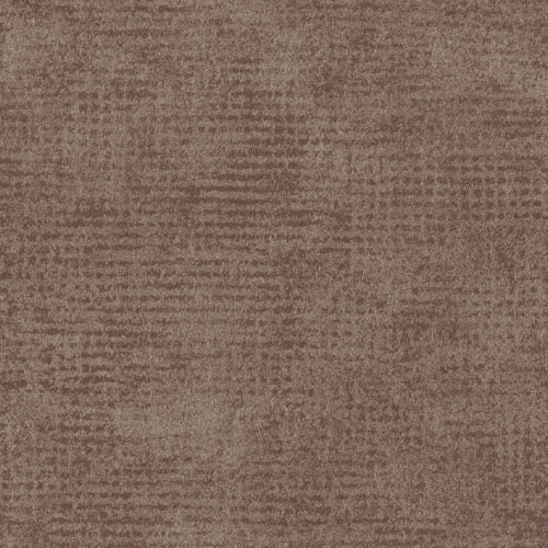 Edition - ED2523