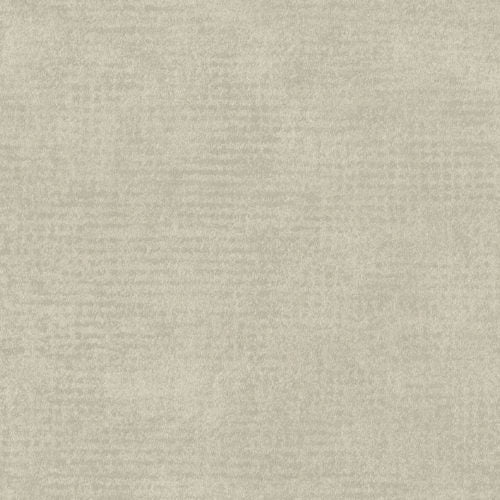 Edition - ED2524