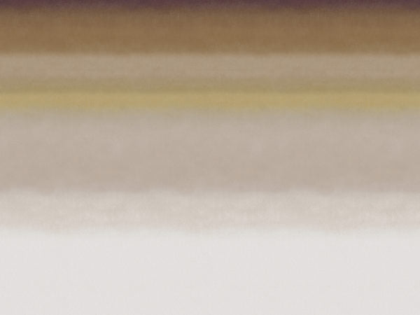 Edition - ED4002