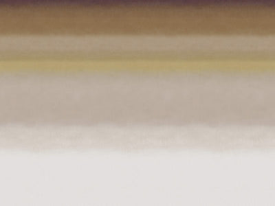 Edition - ED4002