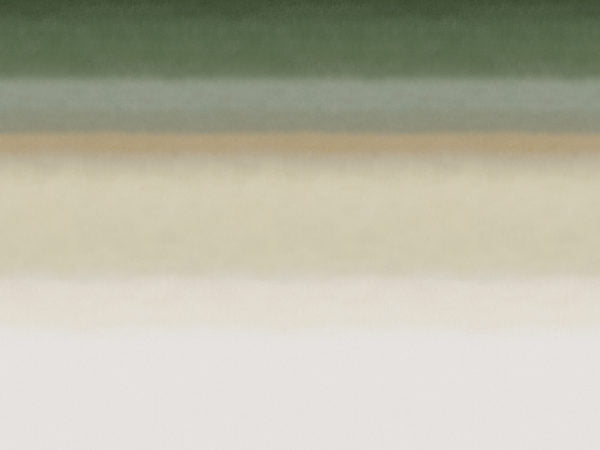 Edition - ED4003