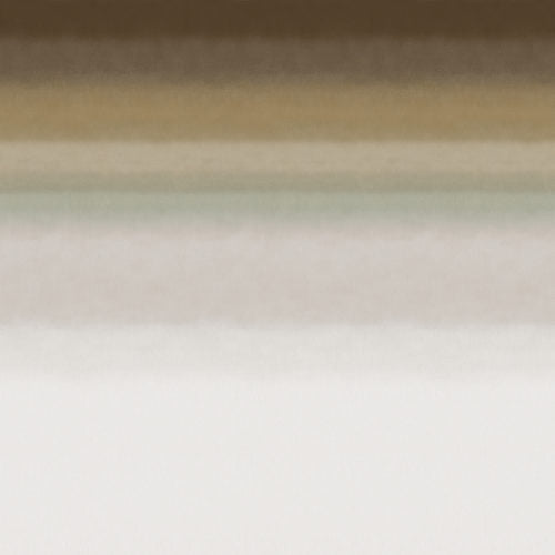 Edition - ED4006