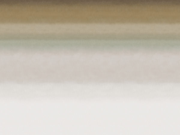 Edition - ED4006