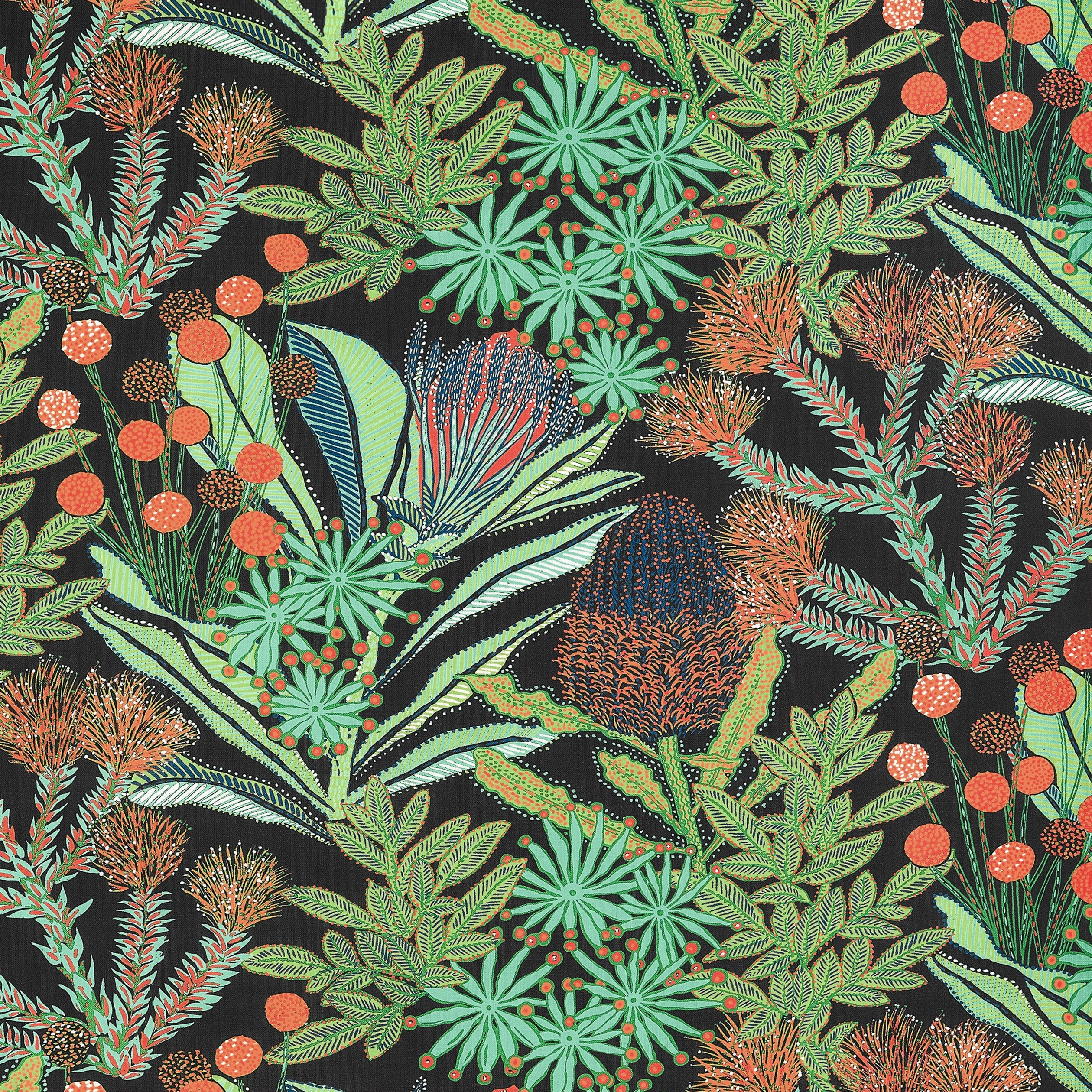PROTEA PRINT - Black