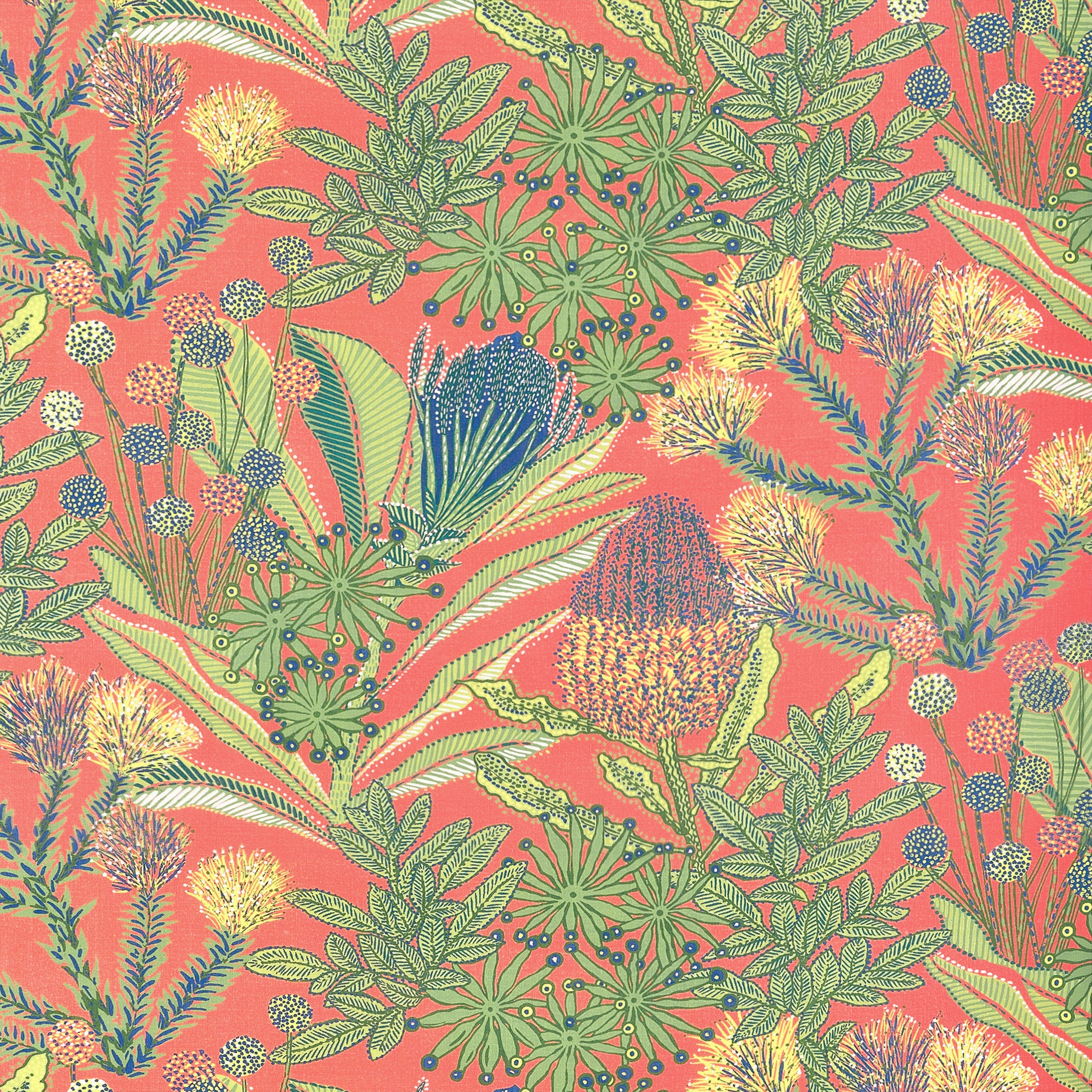 PROTEA PRINT - Coral
