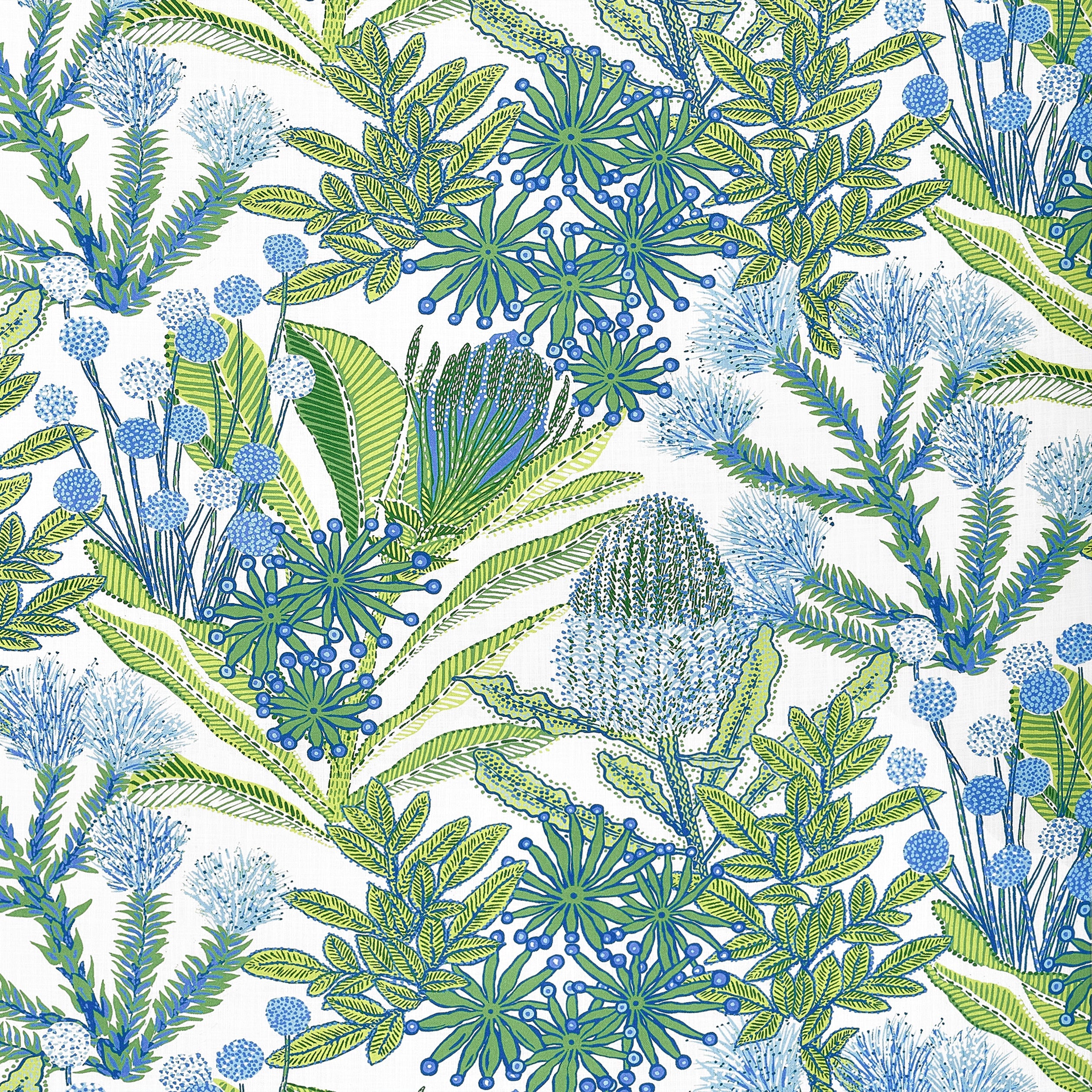 PROTEA PRINT - Kiwi