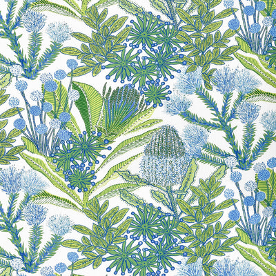 PROTEA PRINT - Kiwi