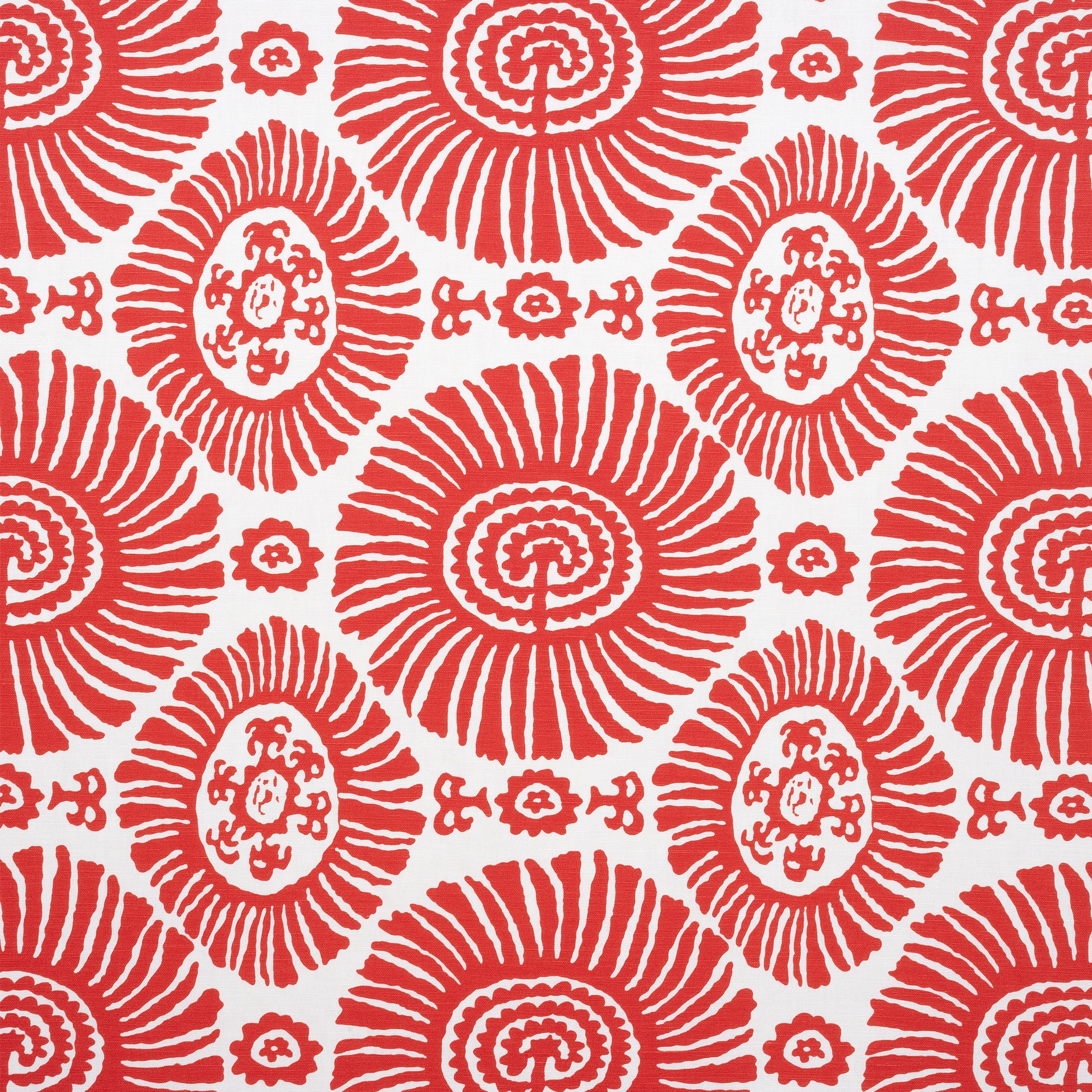 SOLIS - Coral