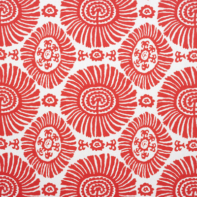 SOLIS - Coral