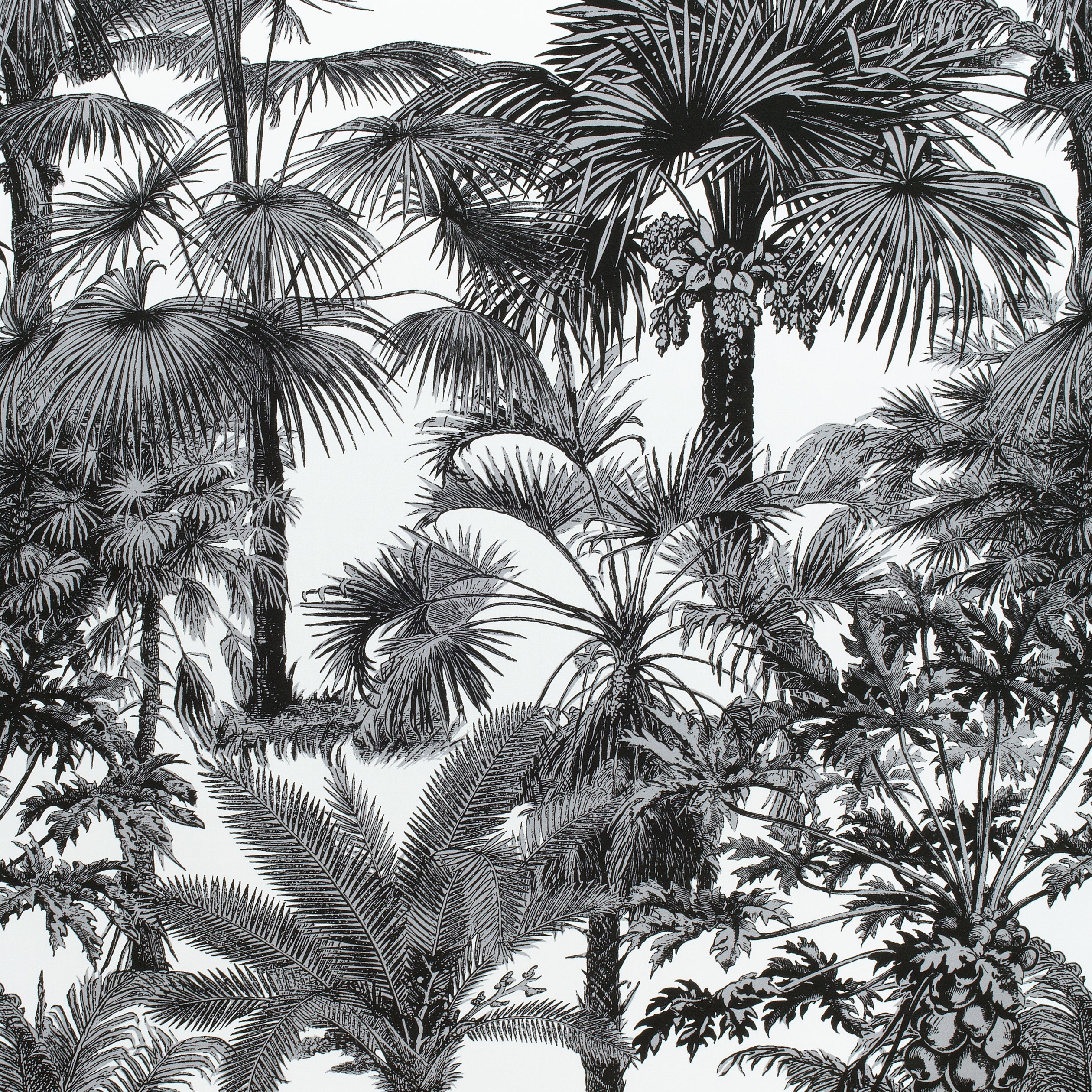 PALM BOTANICAL - Black