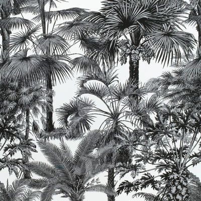 PALM BOTANICAL - Black