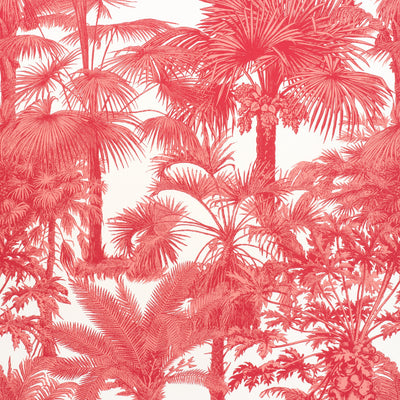 PALM BOTANICAL - Coral