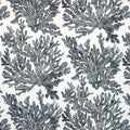 MARINE CORAL - Black