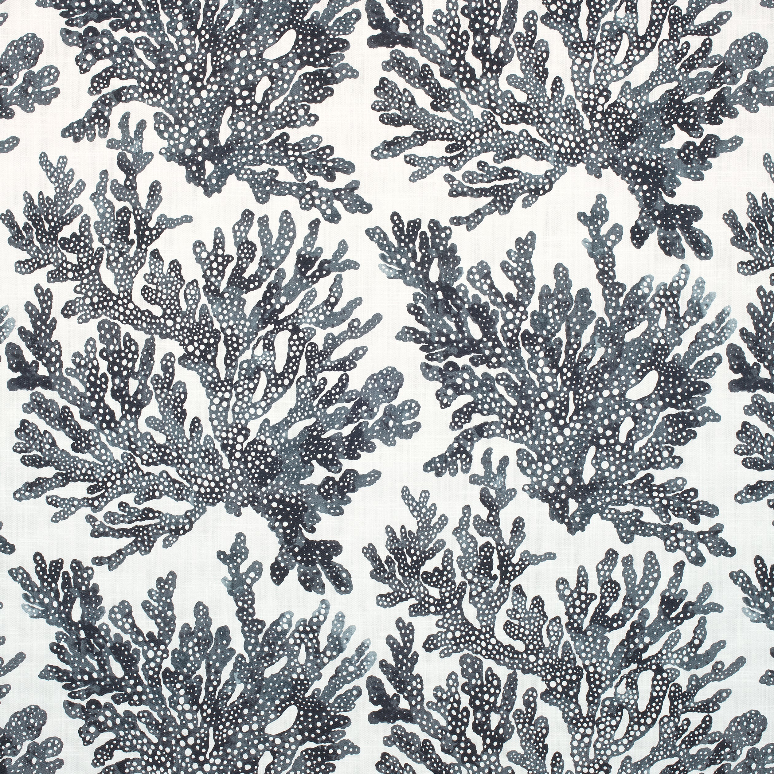 MARINE CORAL - Black