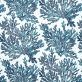 MARINE CORAL - Navy
