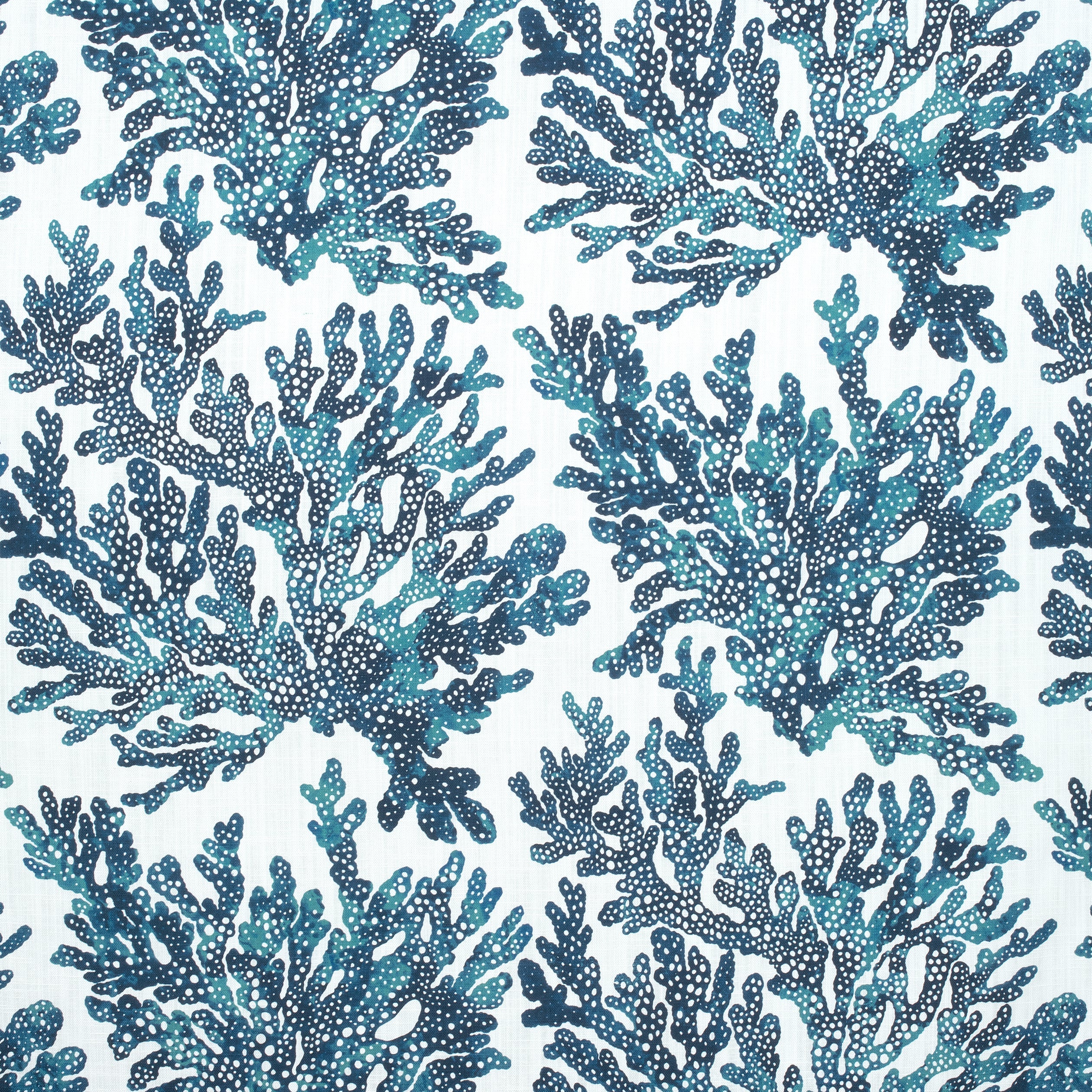 MARINE CORAL - Navy