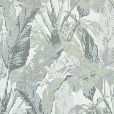 TRAVELERS PALM - Grey