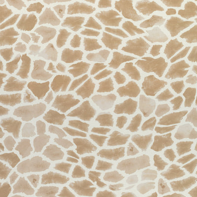 MAKENA - Wheat
