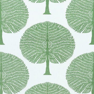 MULBERRY TREE - Green