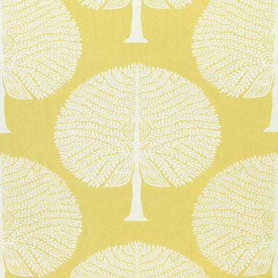 MULBERRY TREE - Yellow