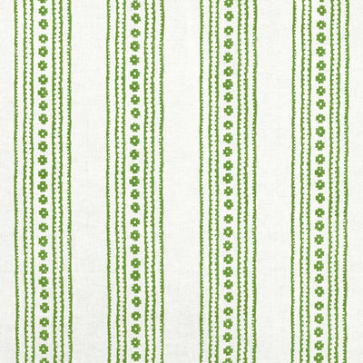 NEW HAVEN STRIPE - Green