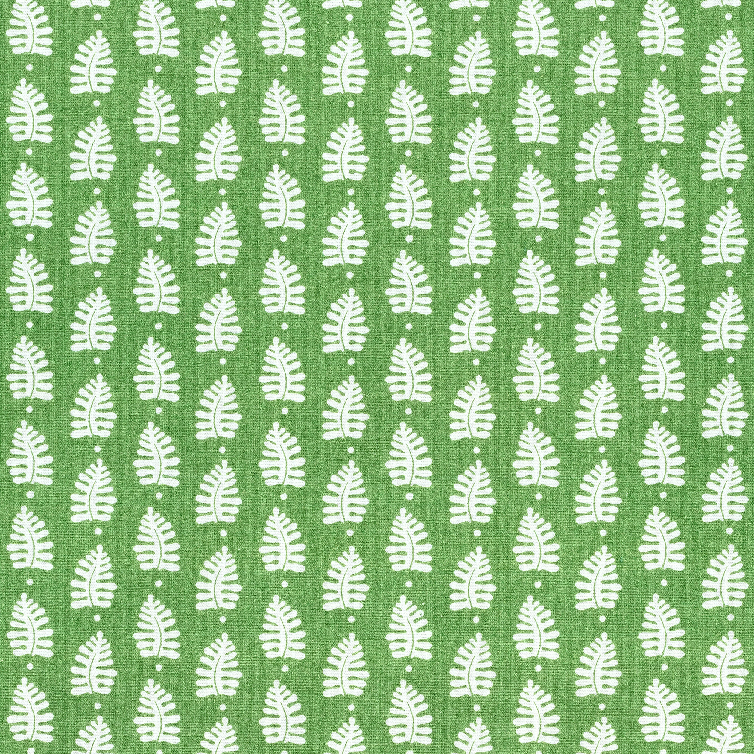 FERNDALE - Green
