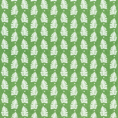 FERNDALE - Green