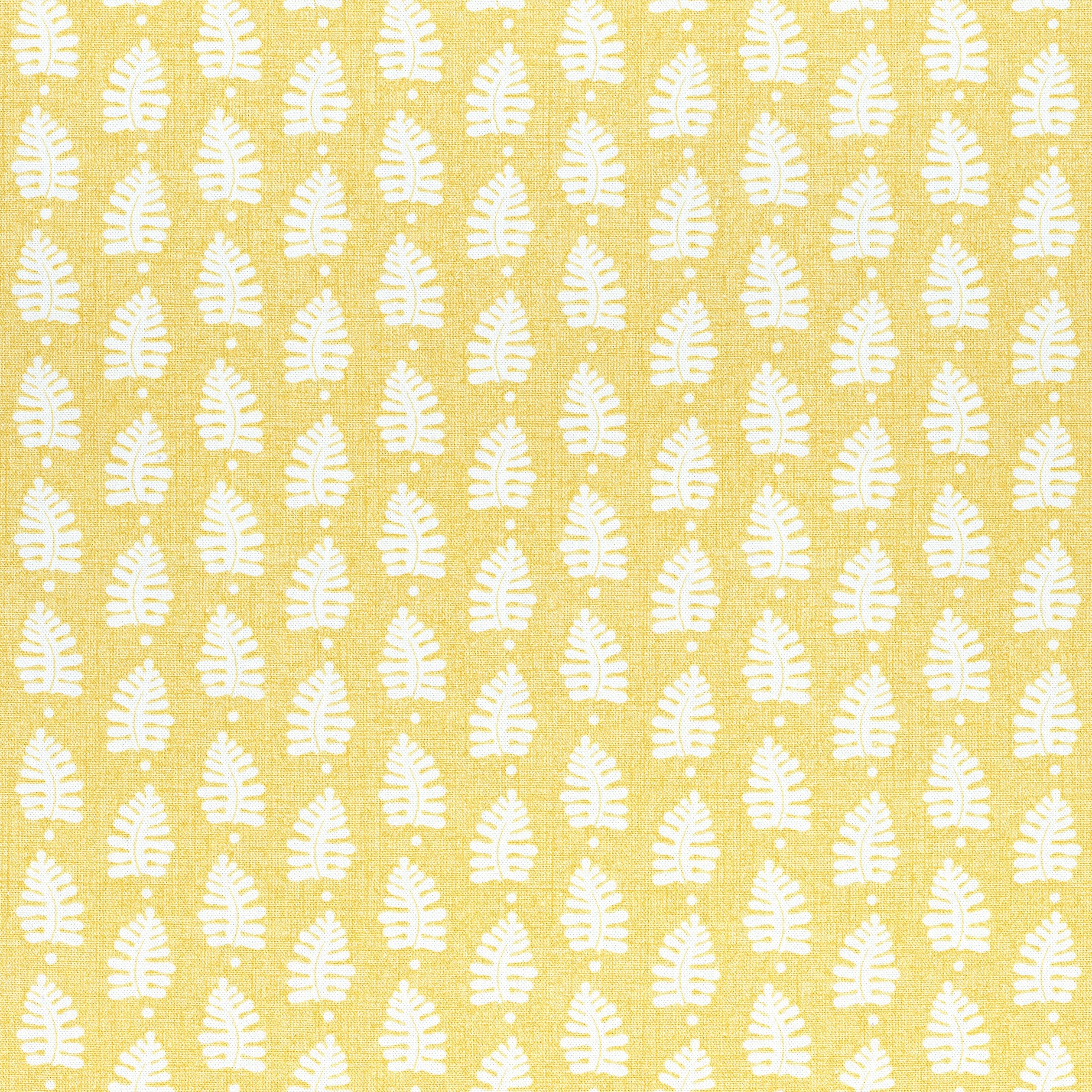 FERNDALE - Yellow
