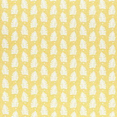 FERNDALE - Yellow