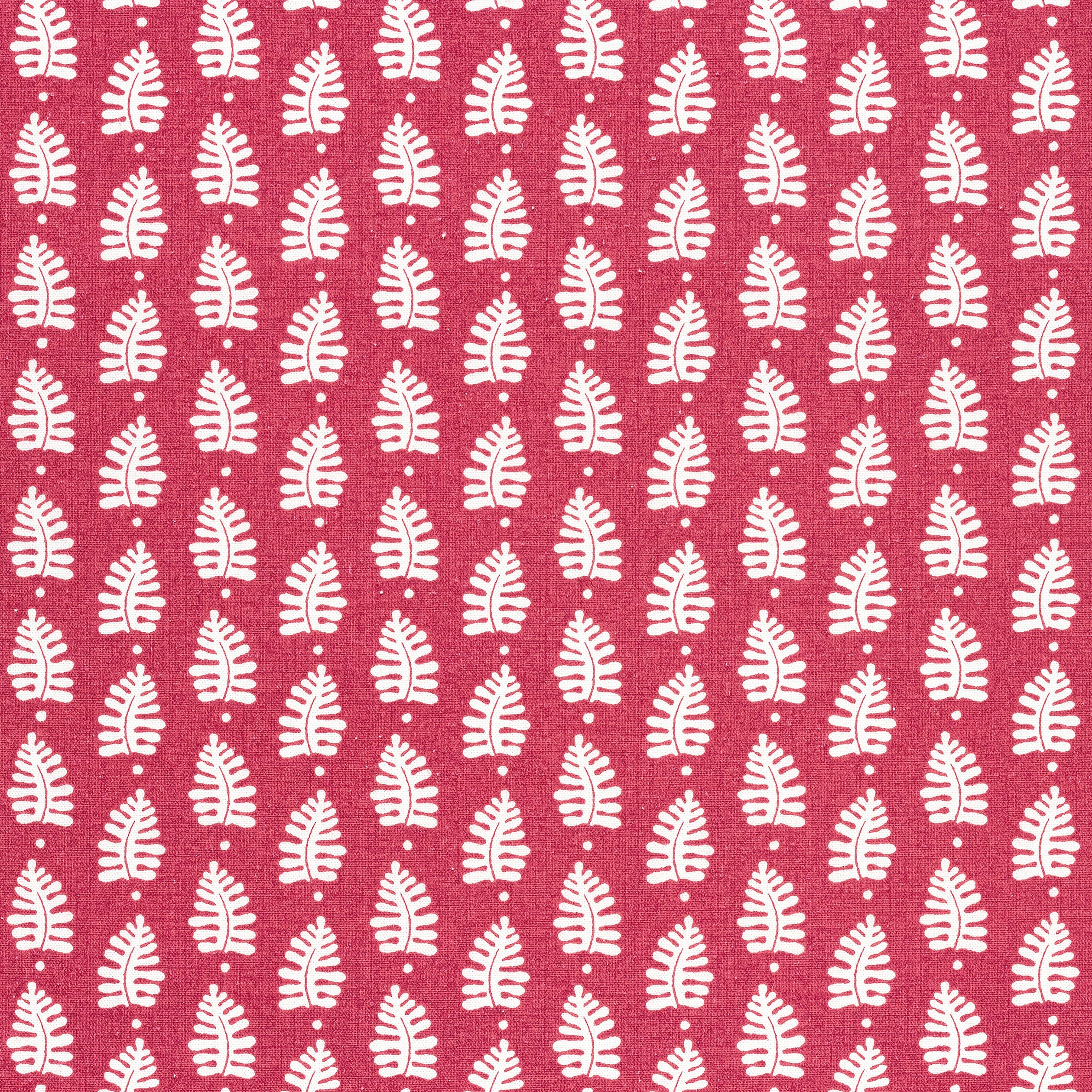 FERNDALE - Pink
