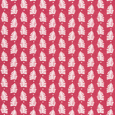 FERNDALE - Pink