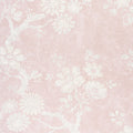 CLAUDETTE - Blush