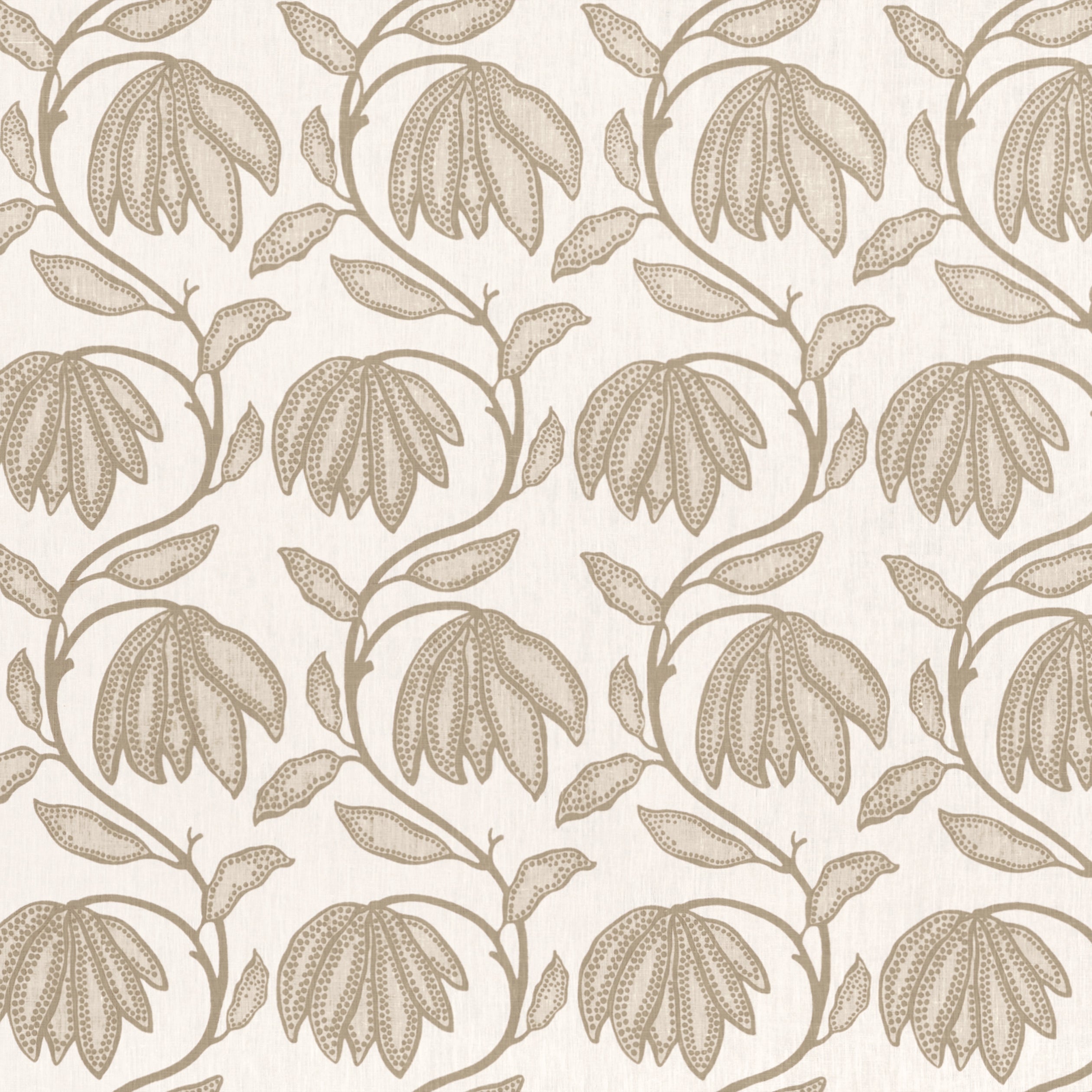DESERT FLOWER - Birch