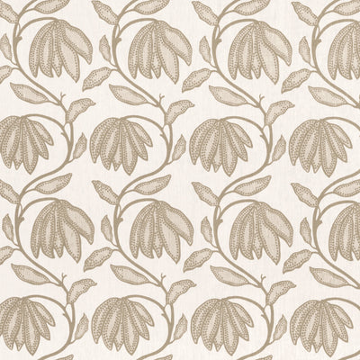DESERT FLOWER - Birch
