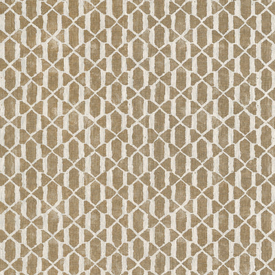 VORTEX - Birch