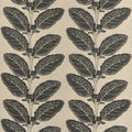 LACINATO - Basalt Black