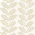 LACINATO - Birch