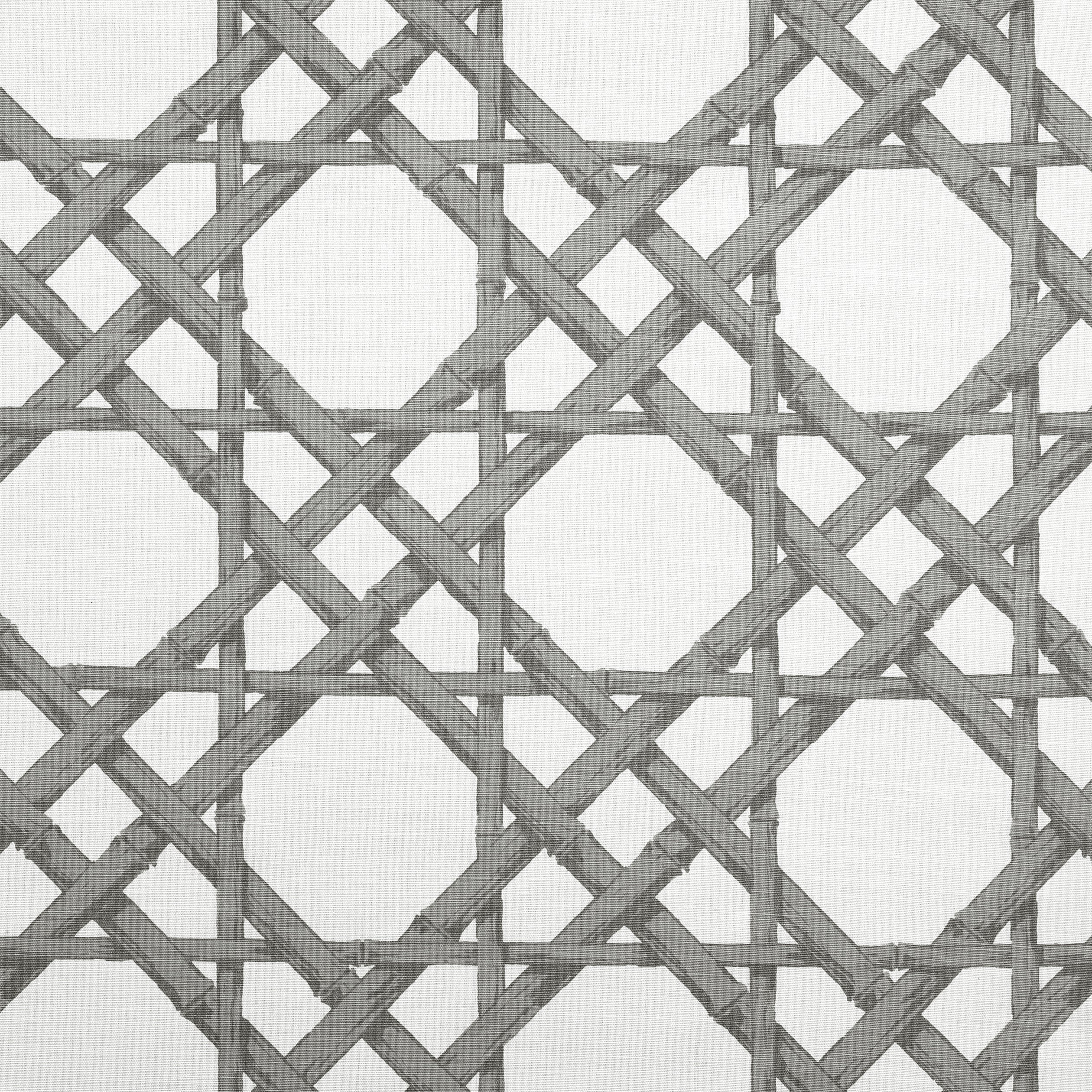 CYRUS CANE - Grey